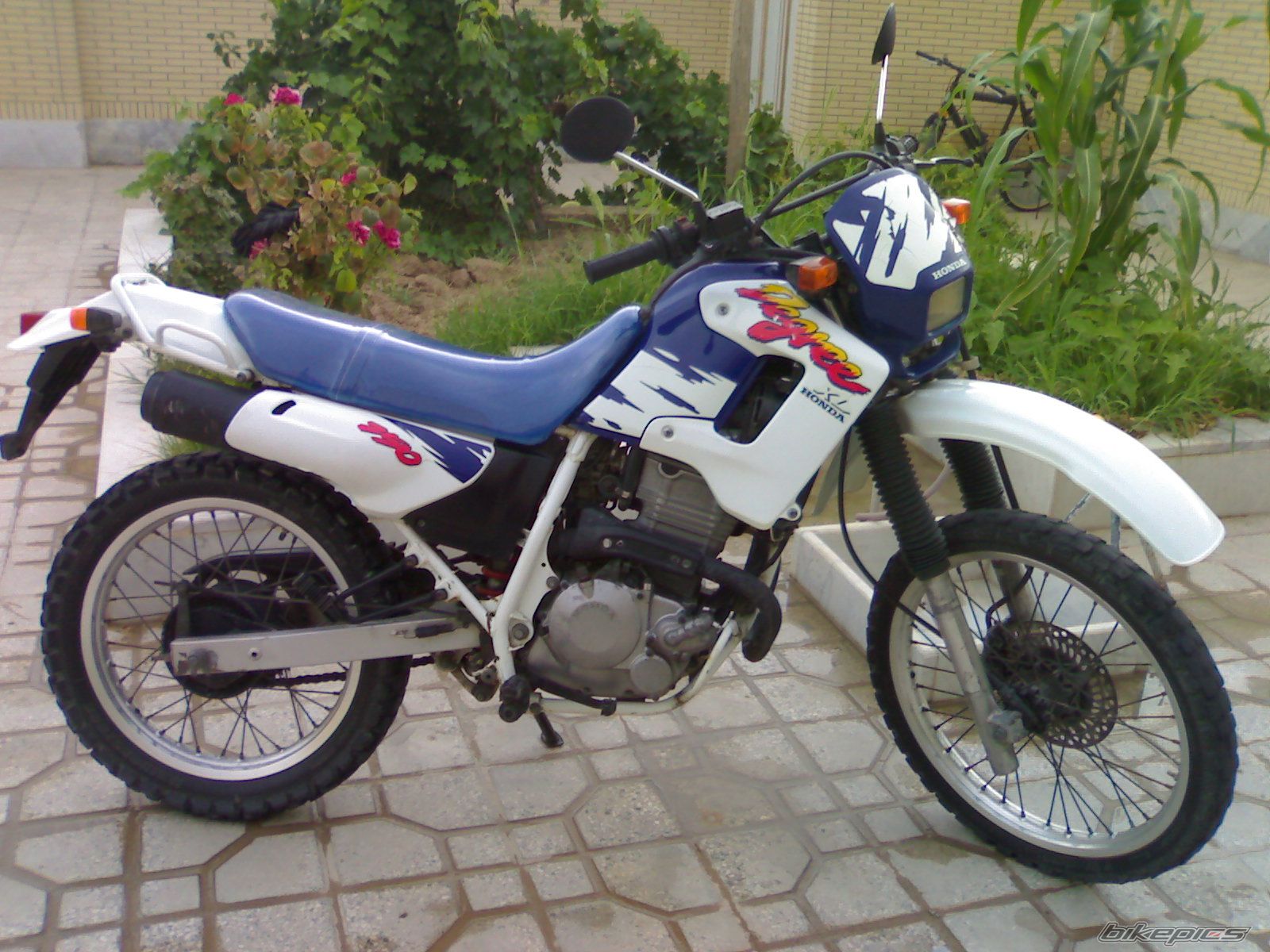 Photo 2430090