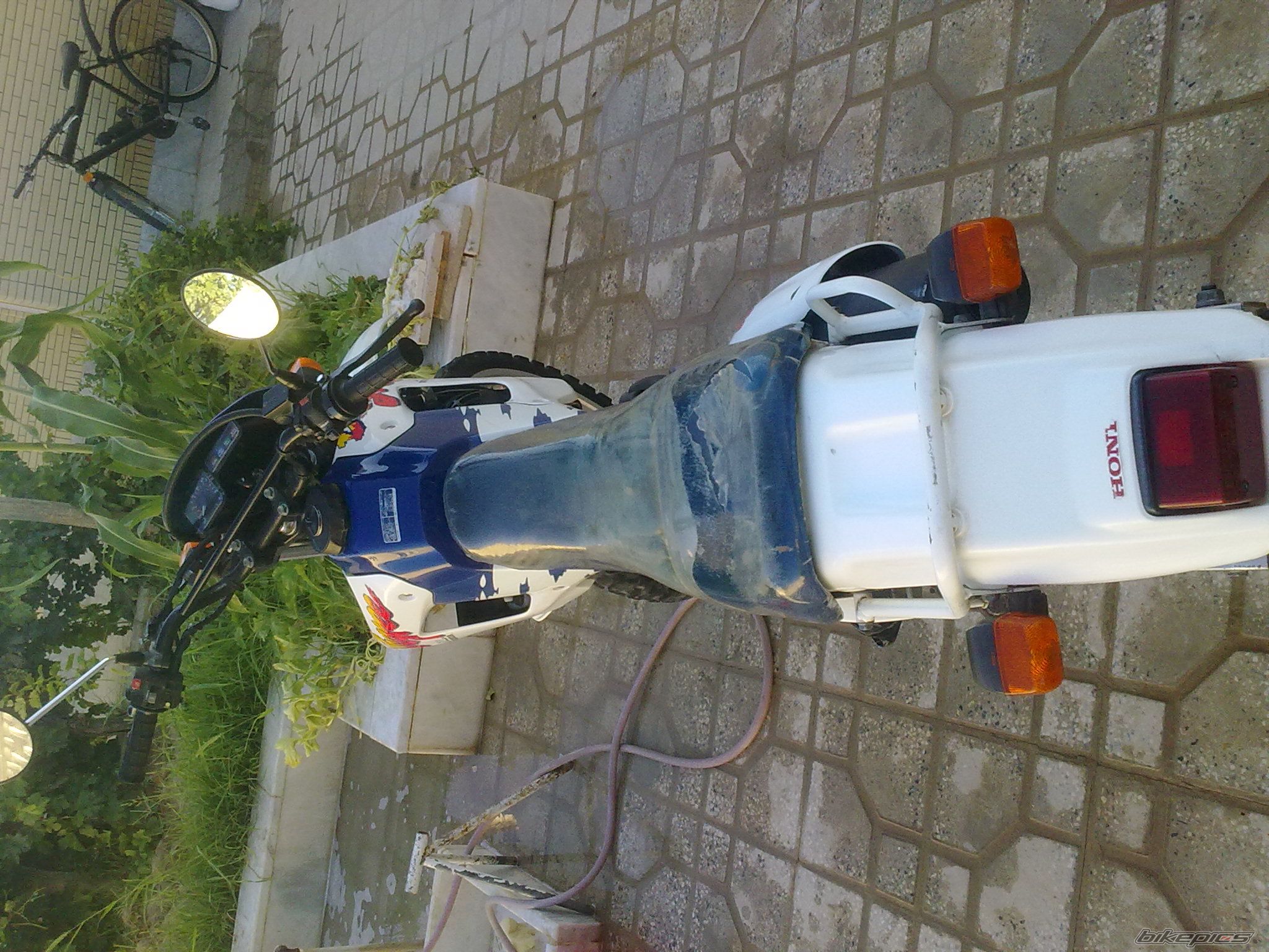 Photo 2430099