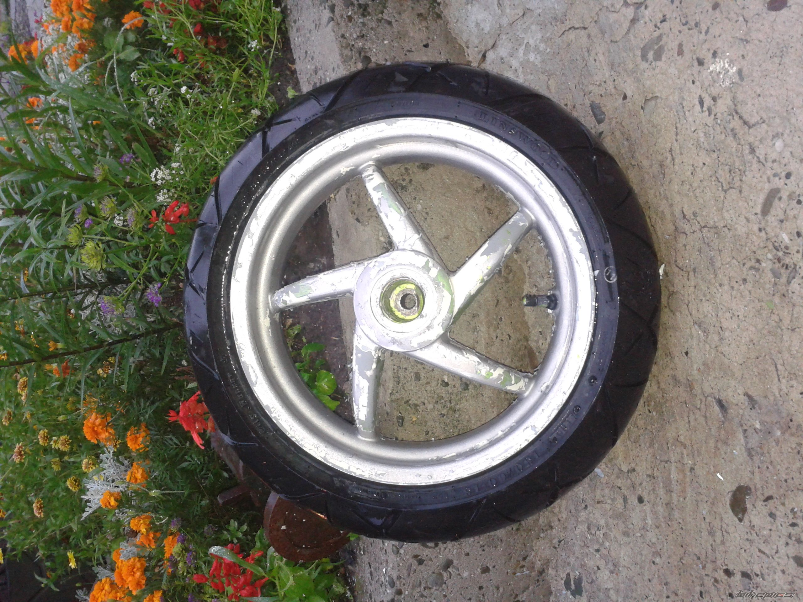 Photo 2430111