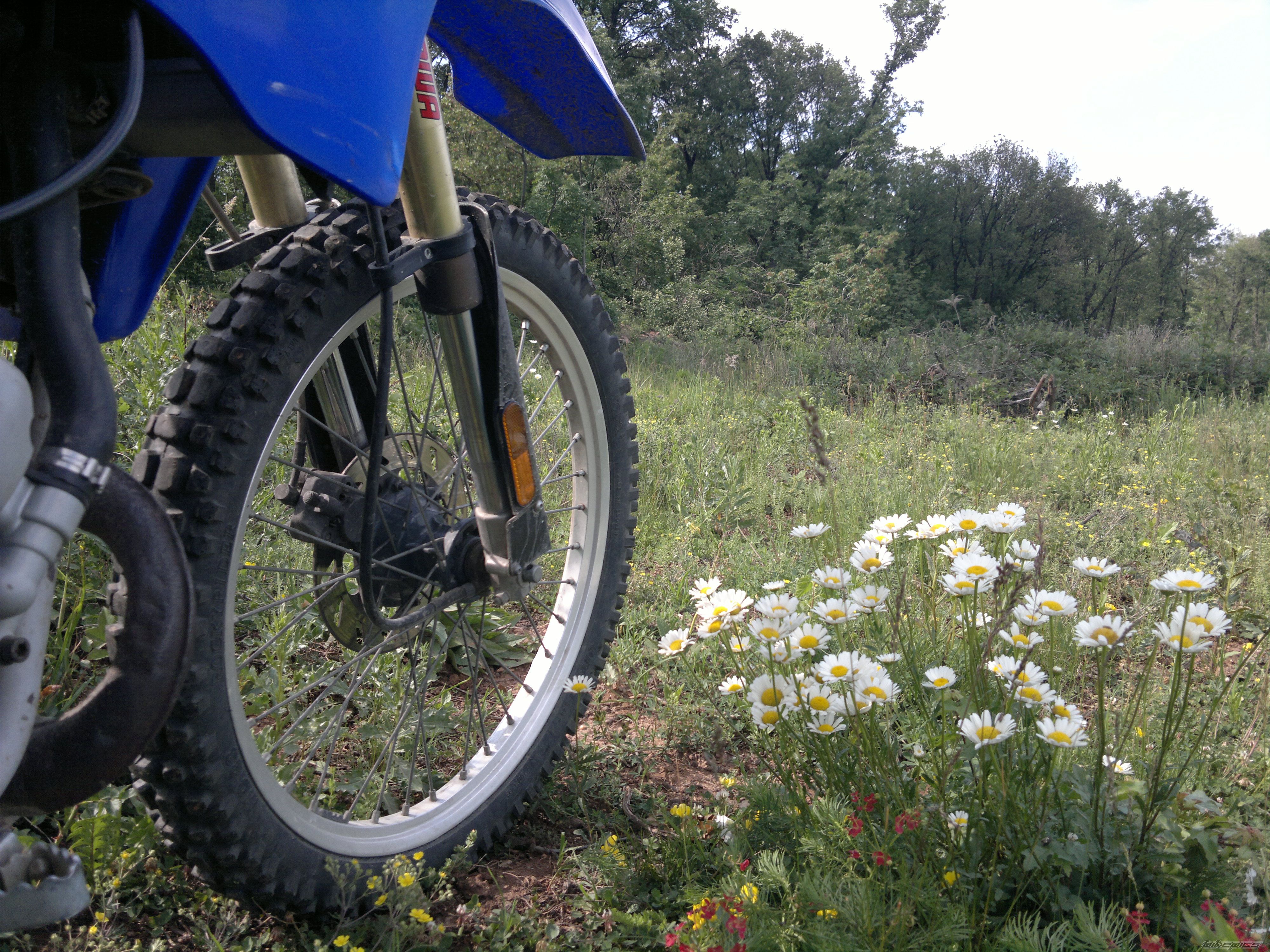 Photo 2430201