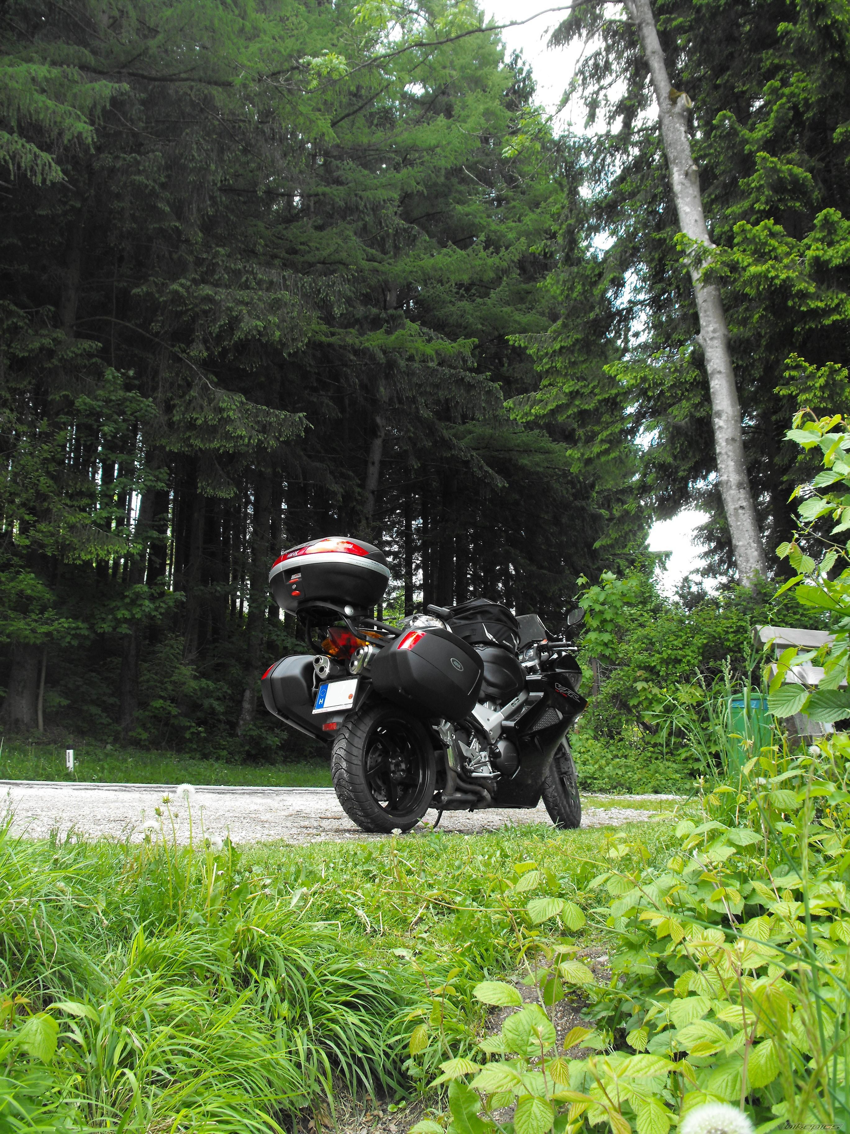 Photo 2430241
