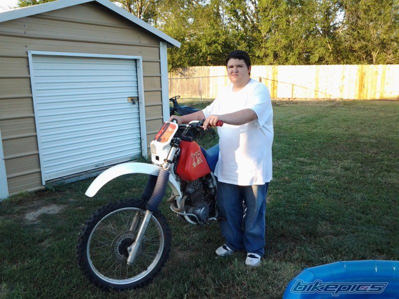 Photo 2430304