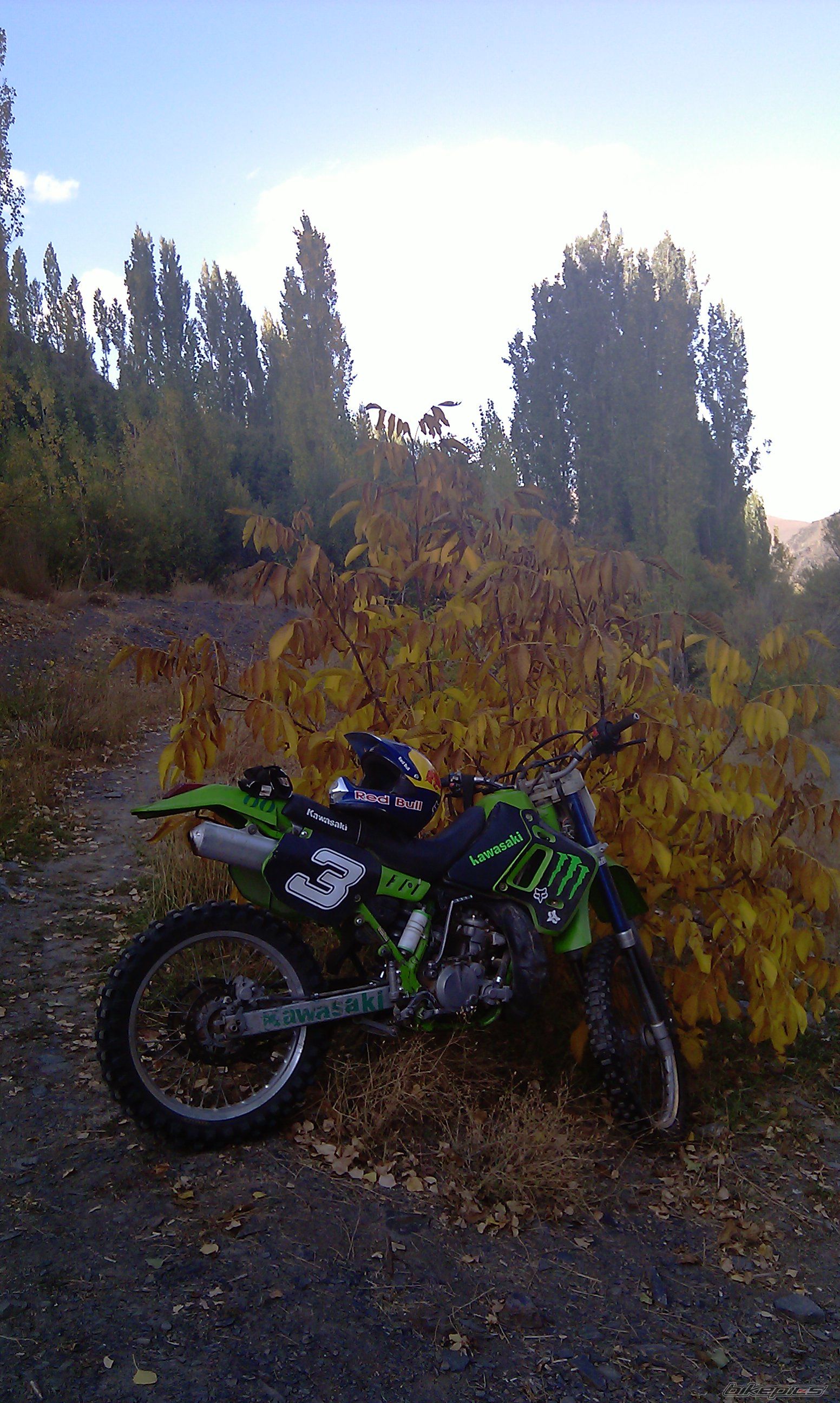 Photo 2430399