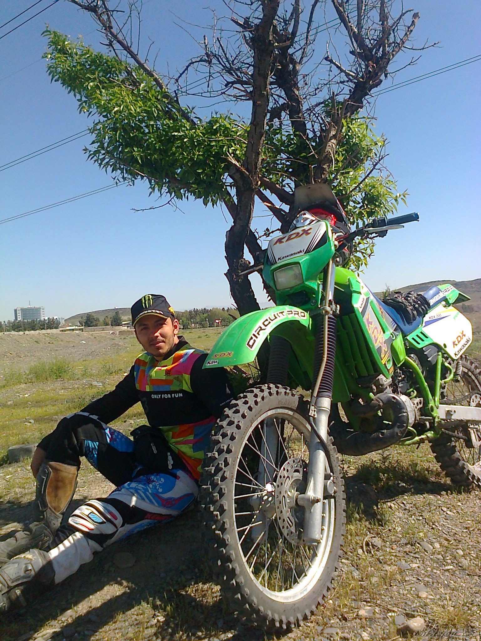 Photo 2430421