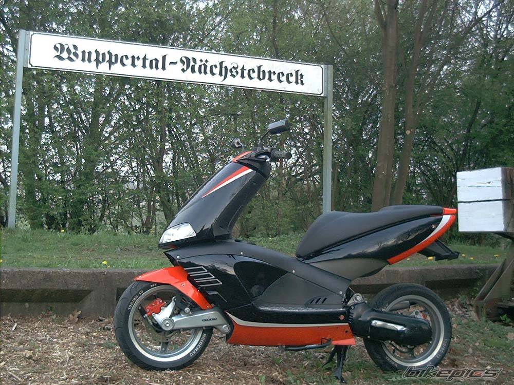Photo 24307