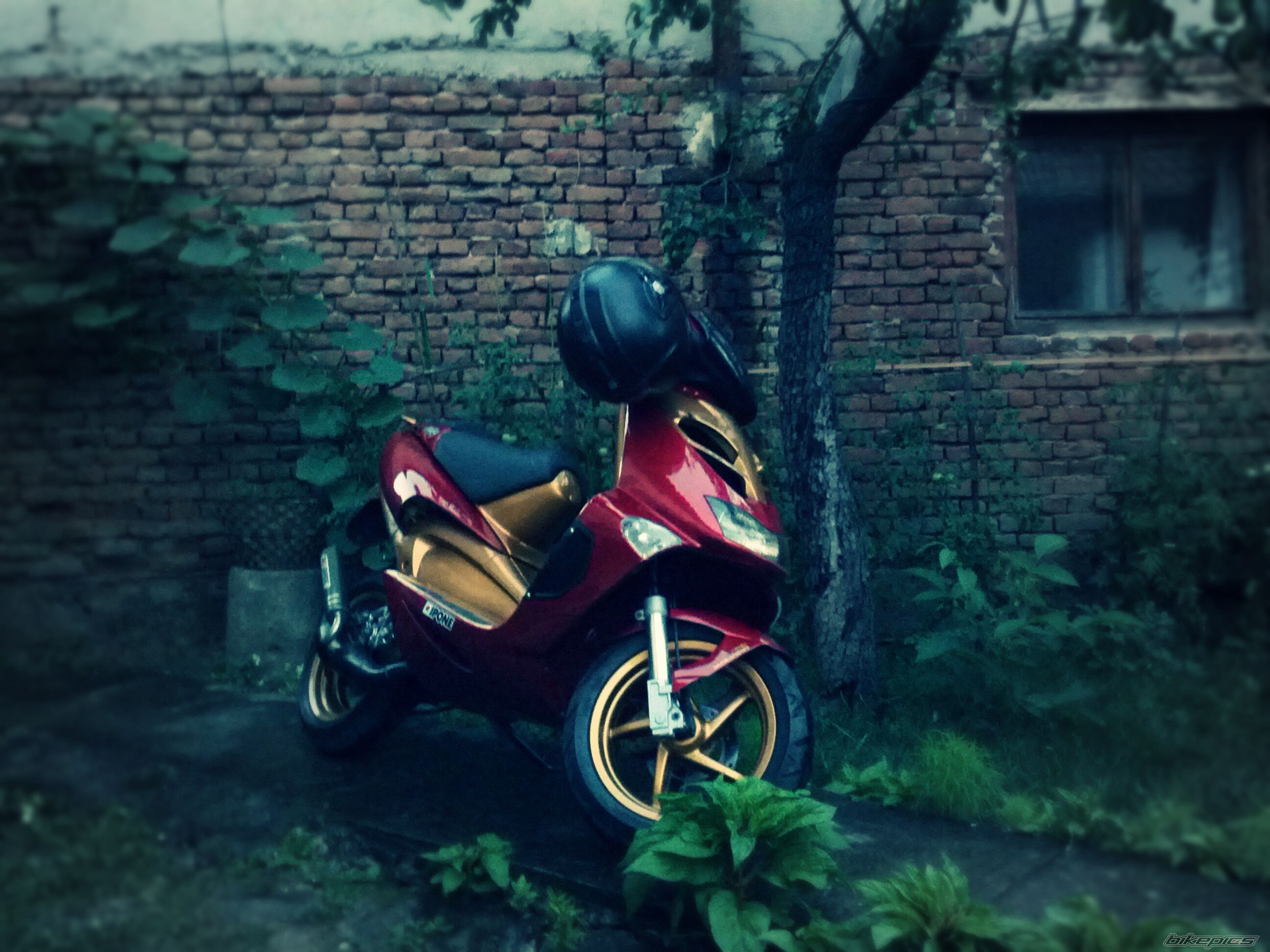 Photo 2430711