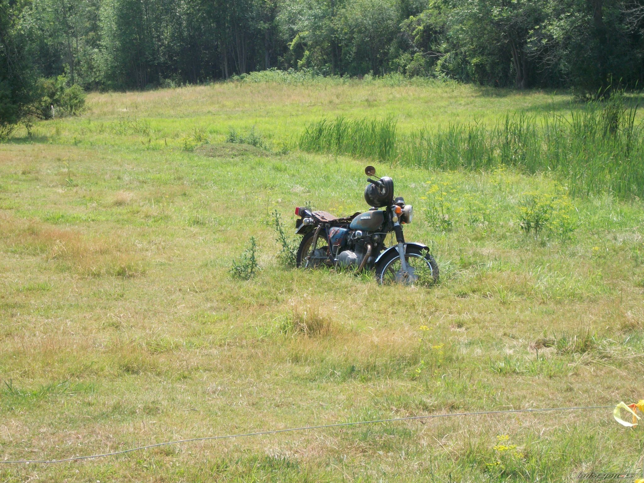 Photo 2430738