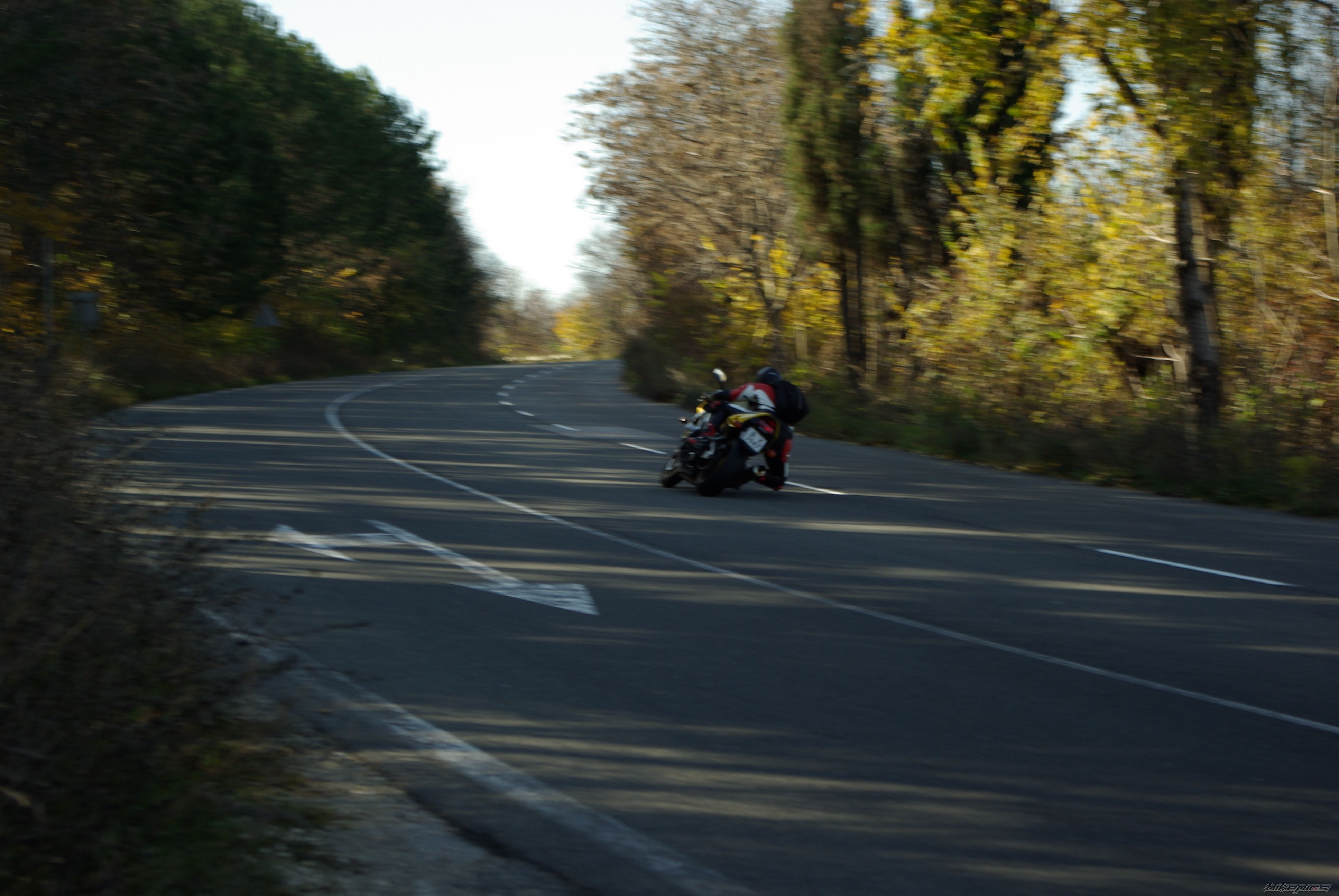 Photo 2430743