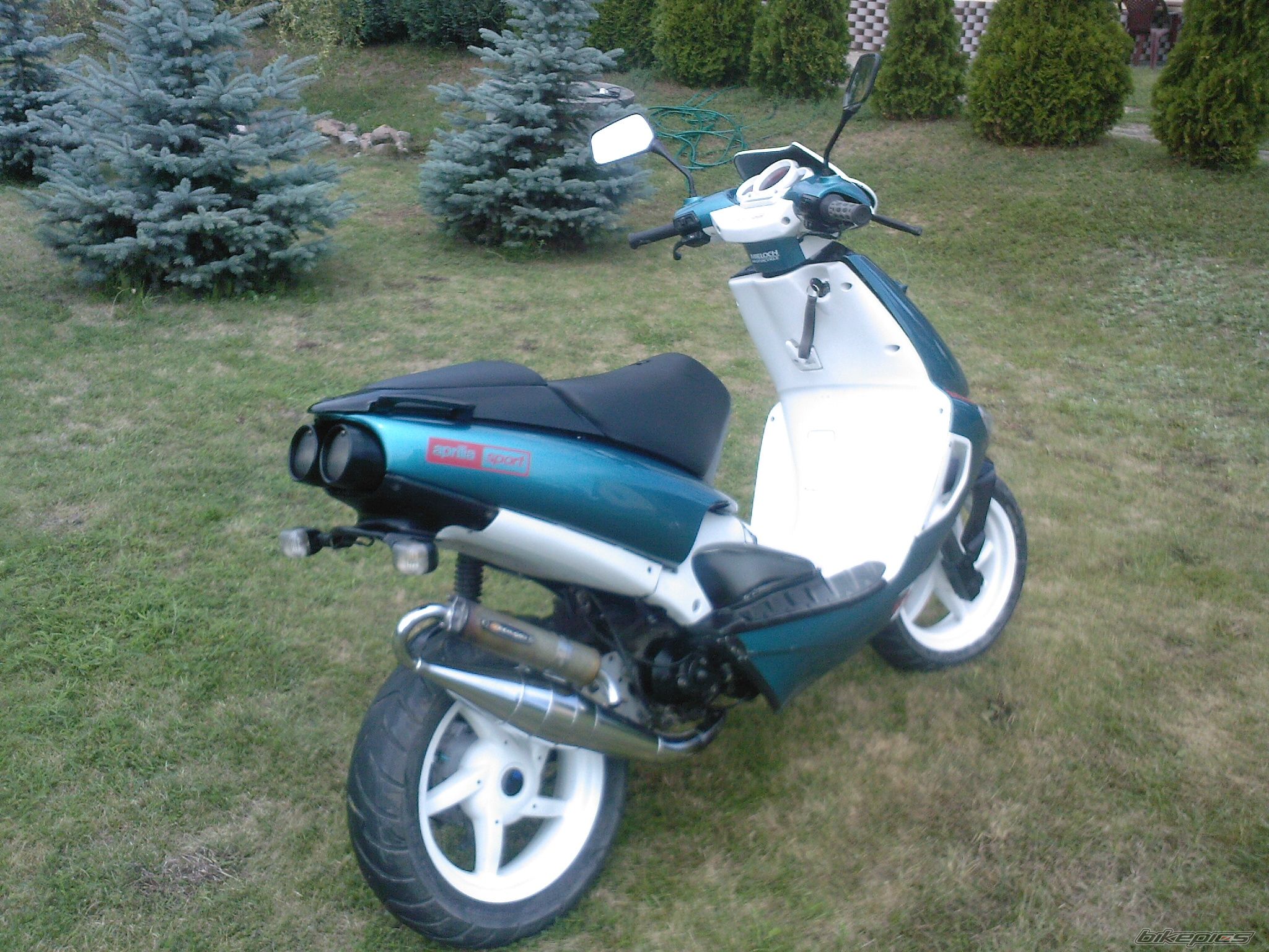 Photo 2430758