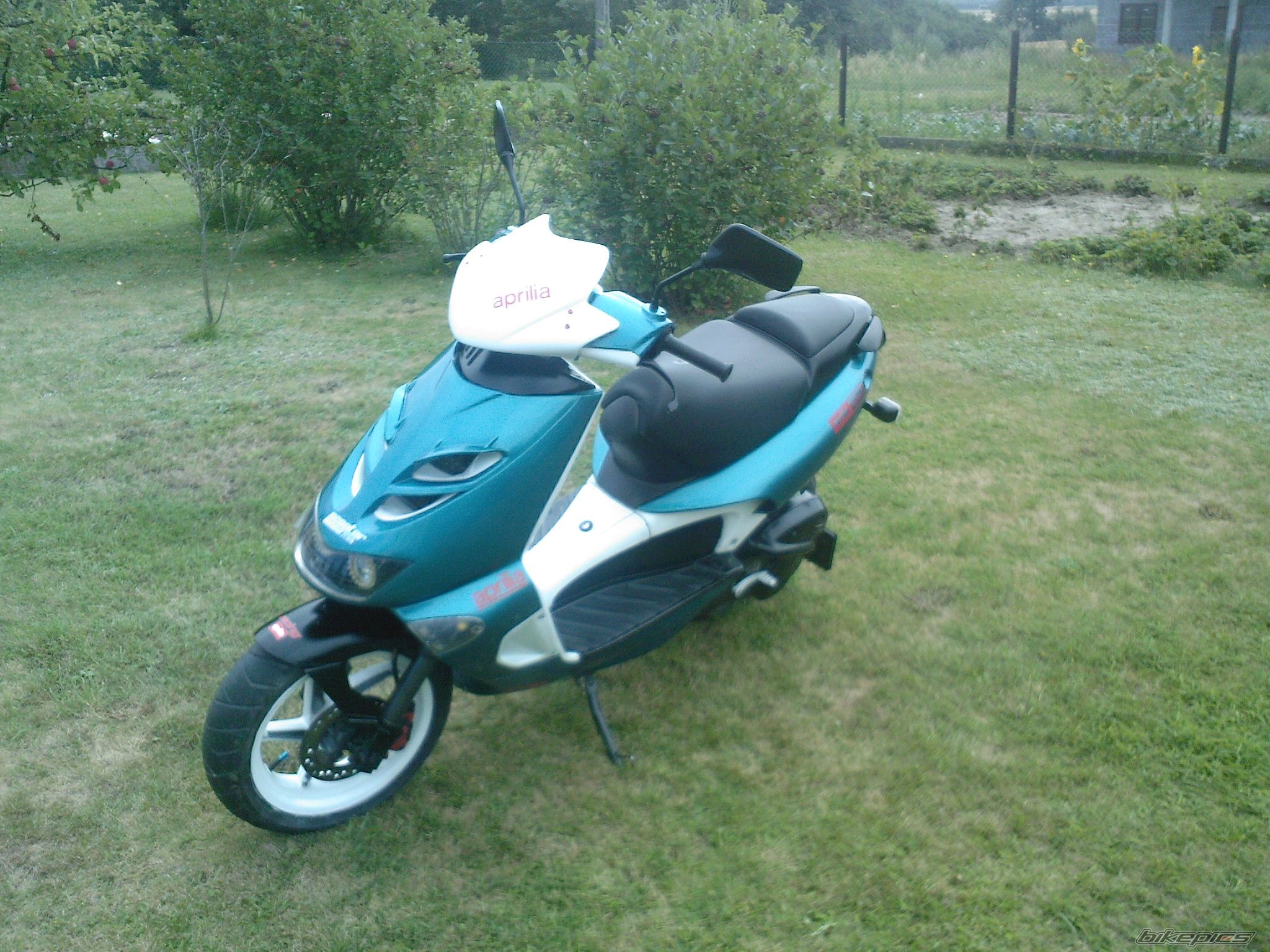 Photo 2430760