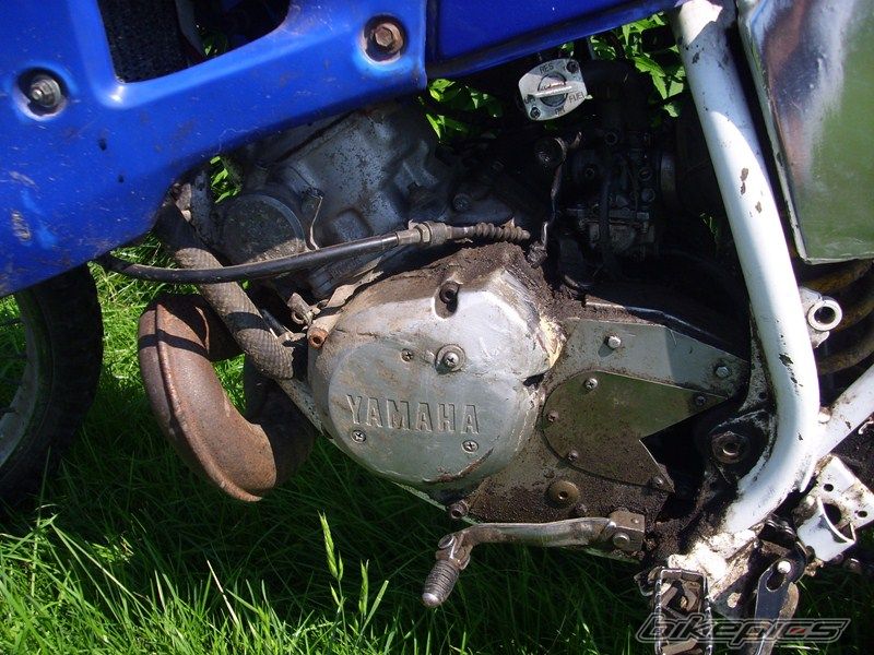 Photo 2430787