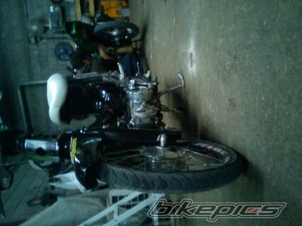 Photo 2430871