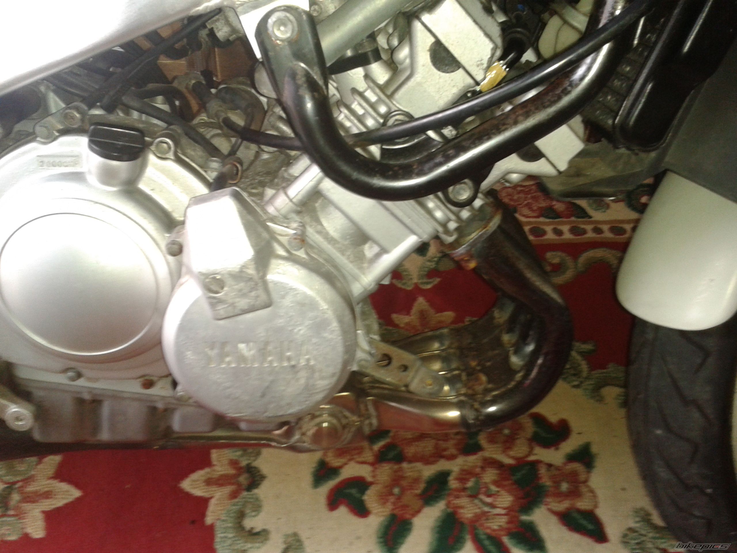 Photo 2430975
