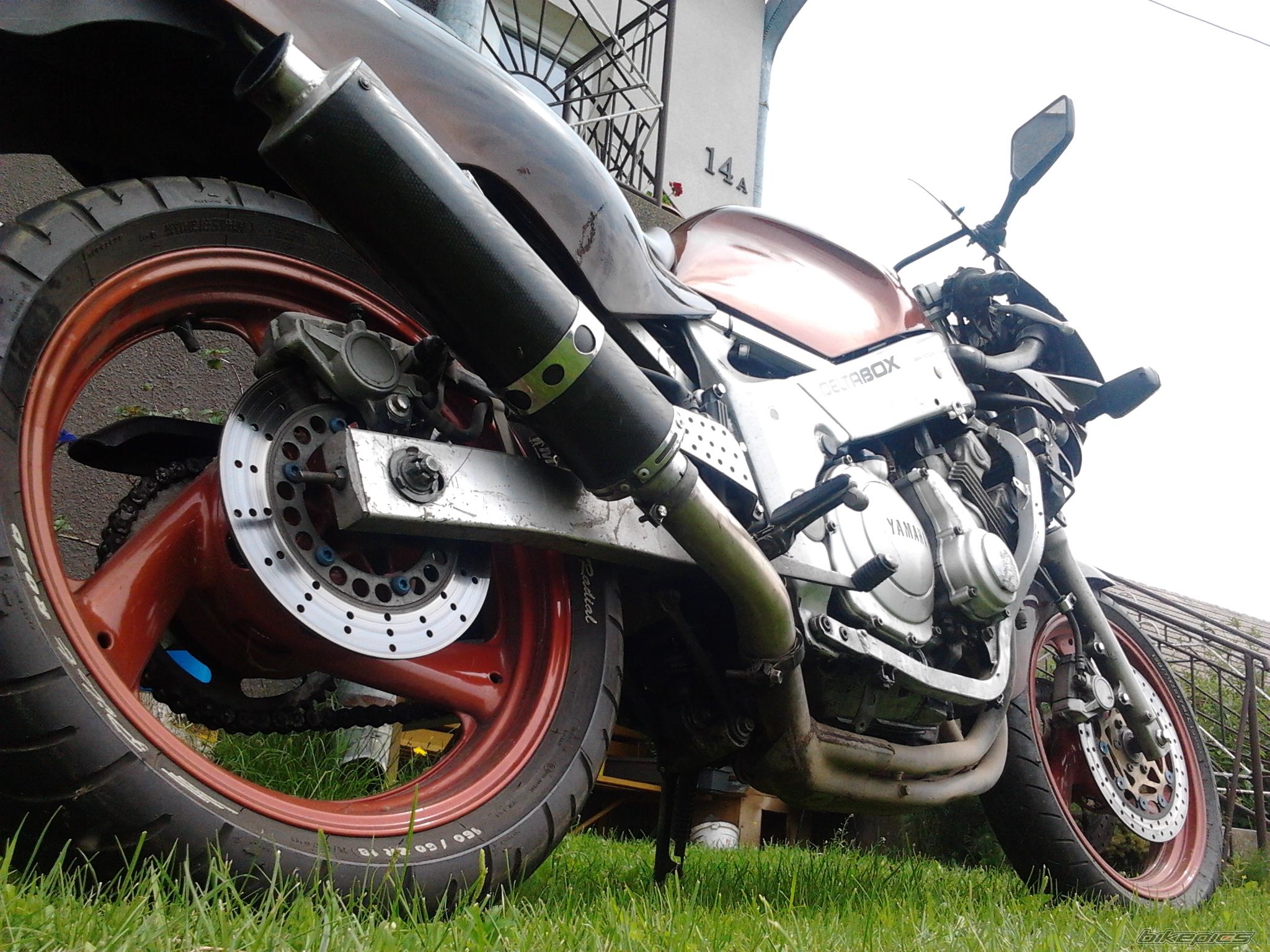 Photo 2431043