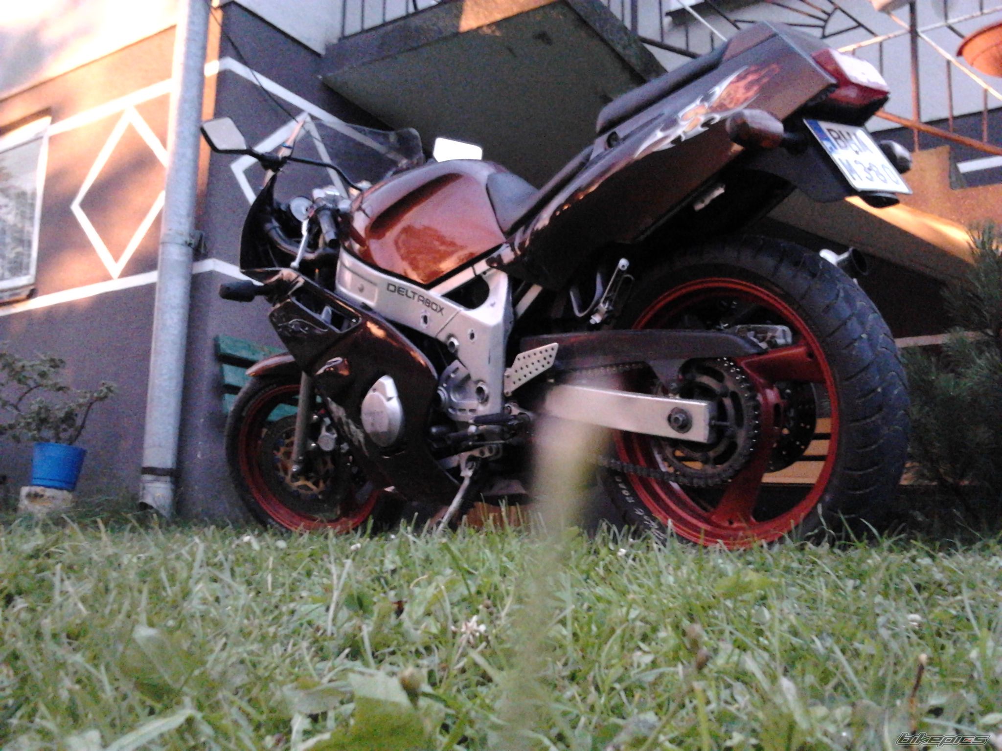 Photo 2431049