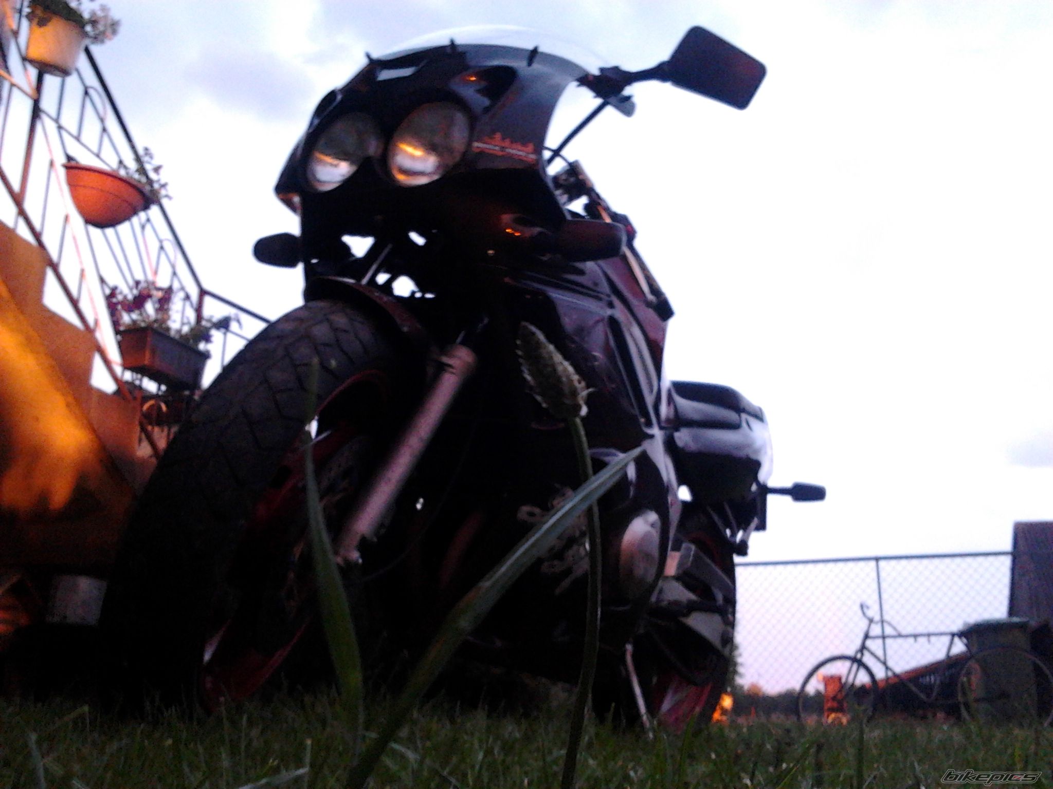 Photo 2431056