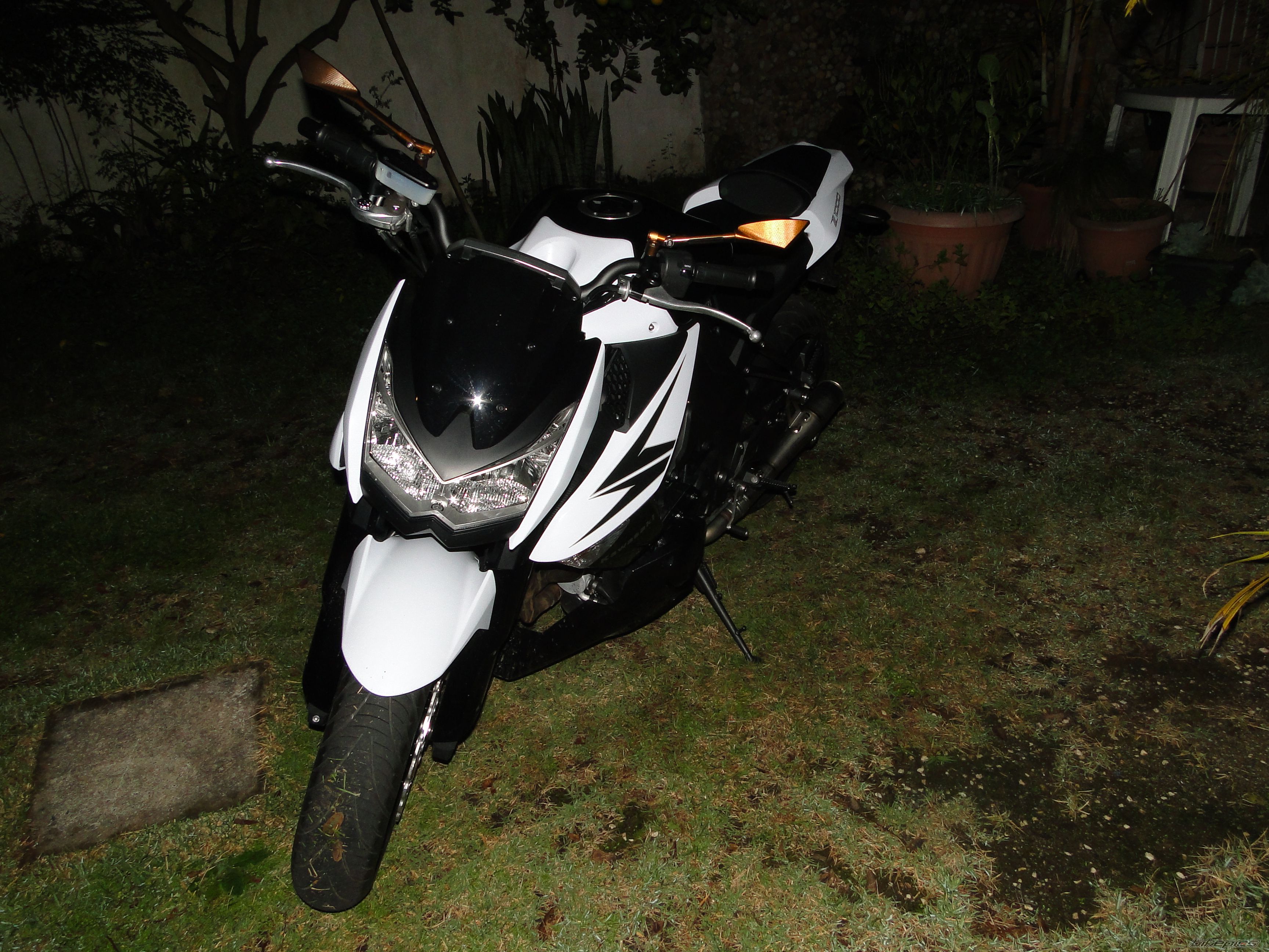 Photo 2431110