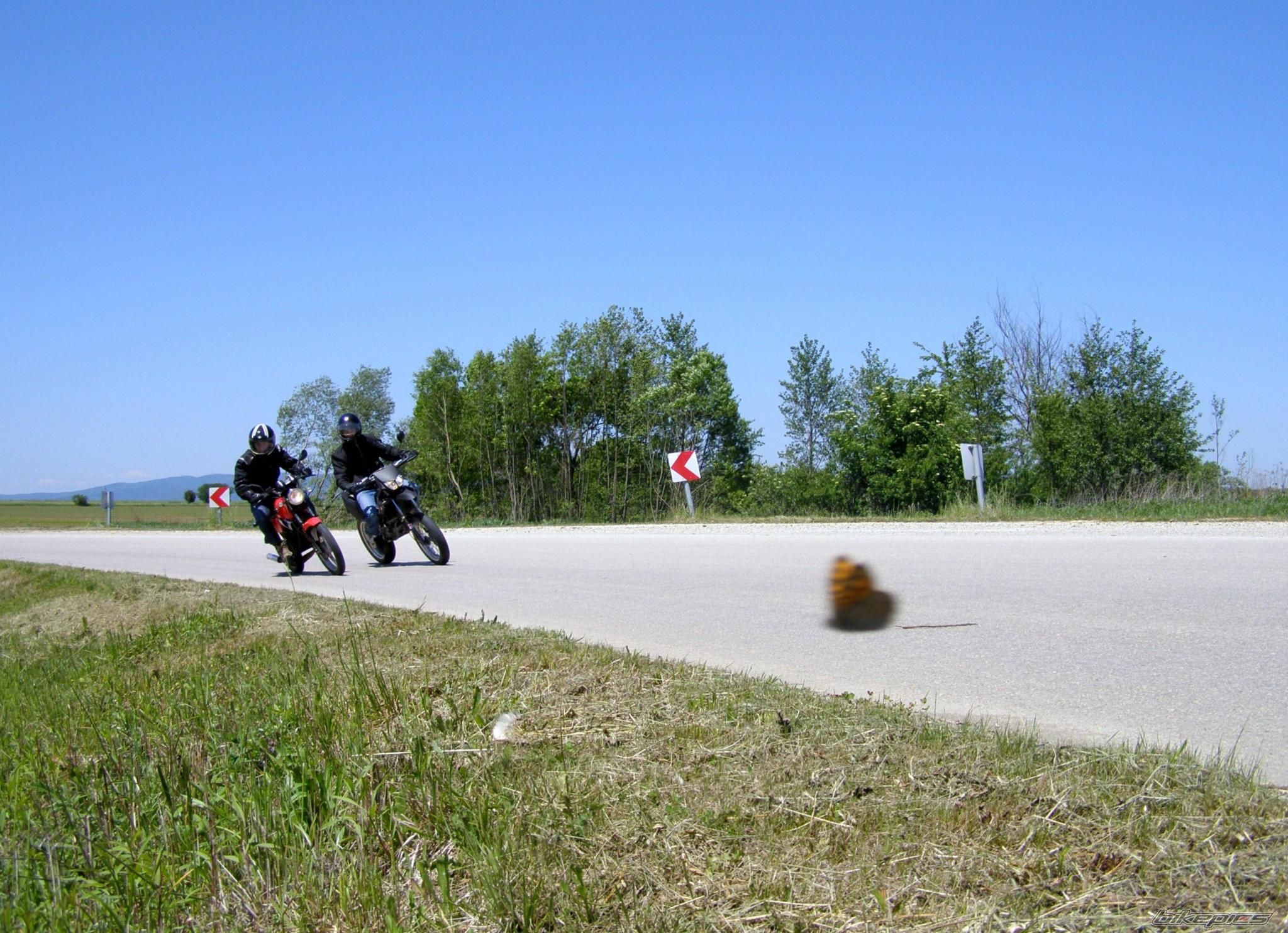Photo 2431236
