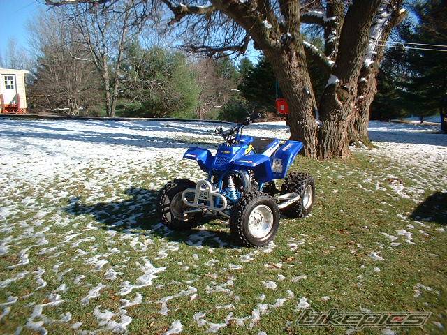 Photo 243135
