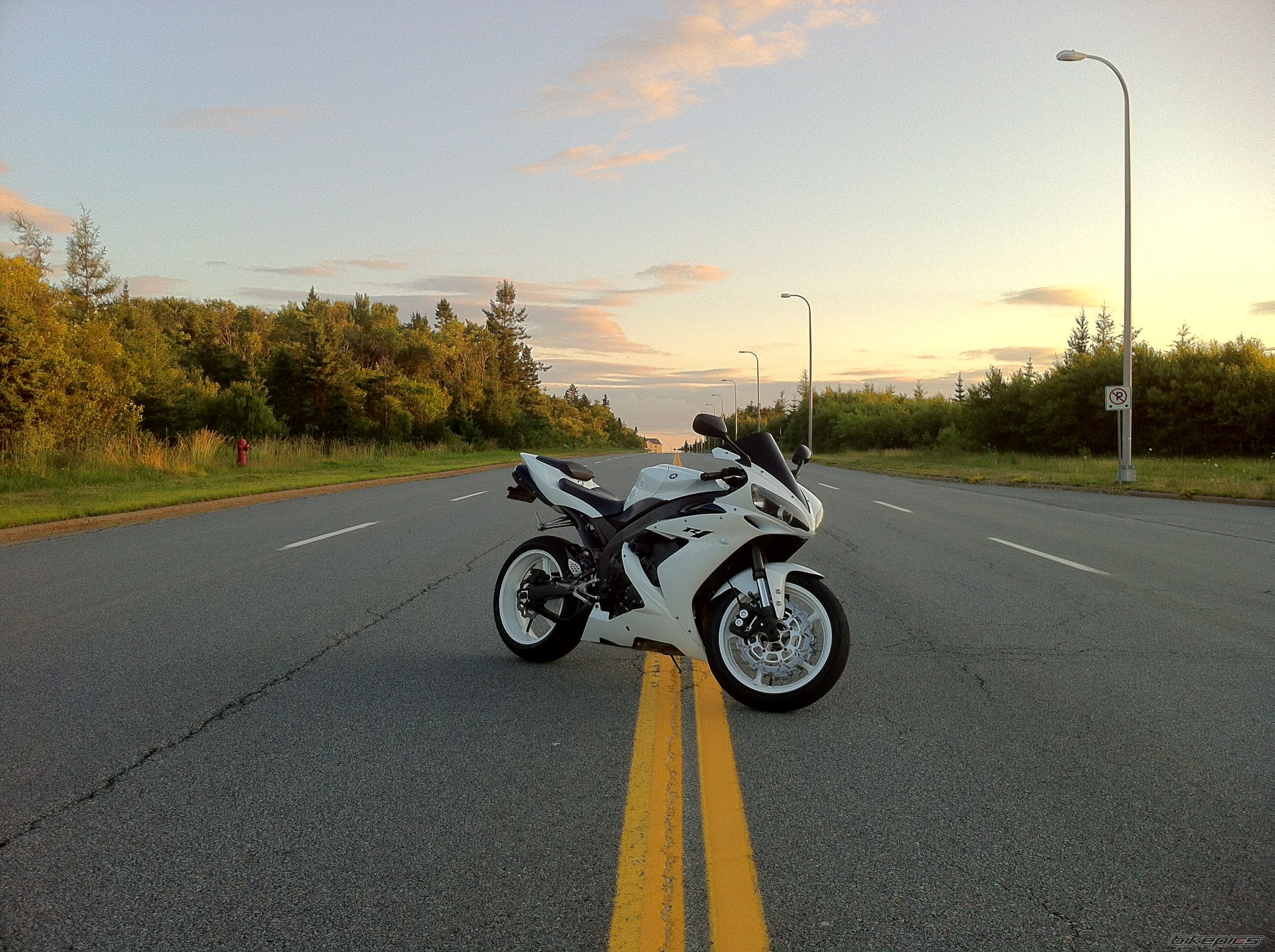 Photo 2431491