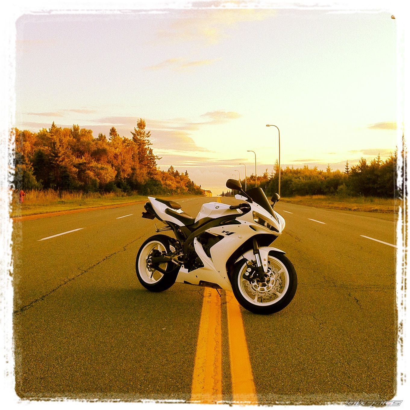 Photo 2431494