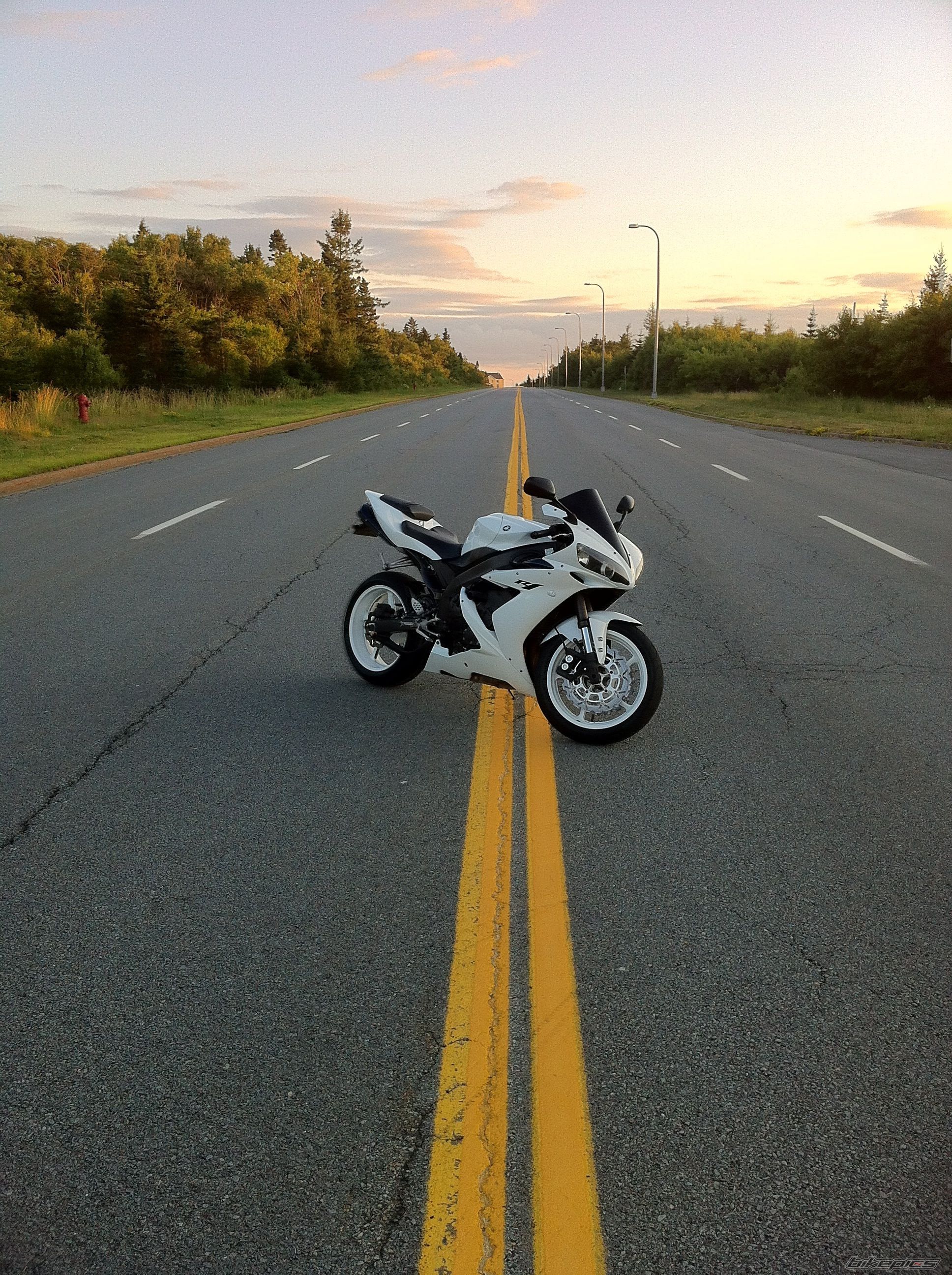 Photo 2431495