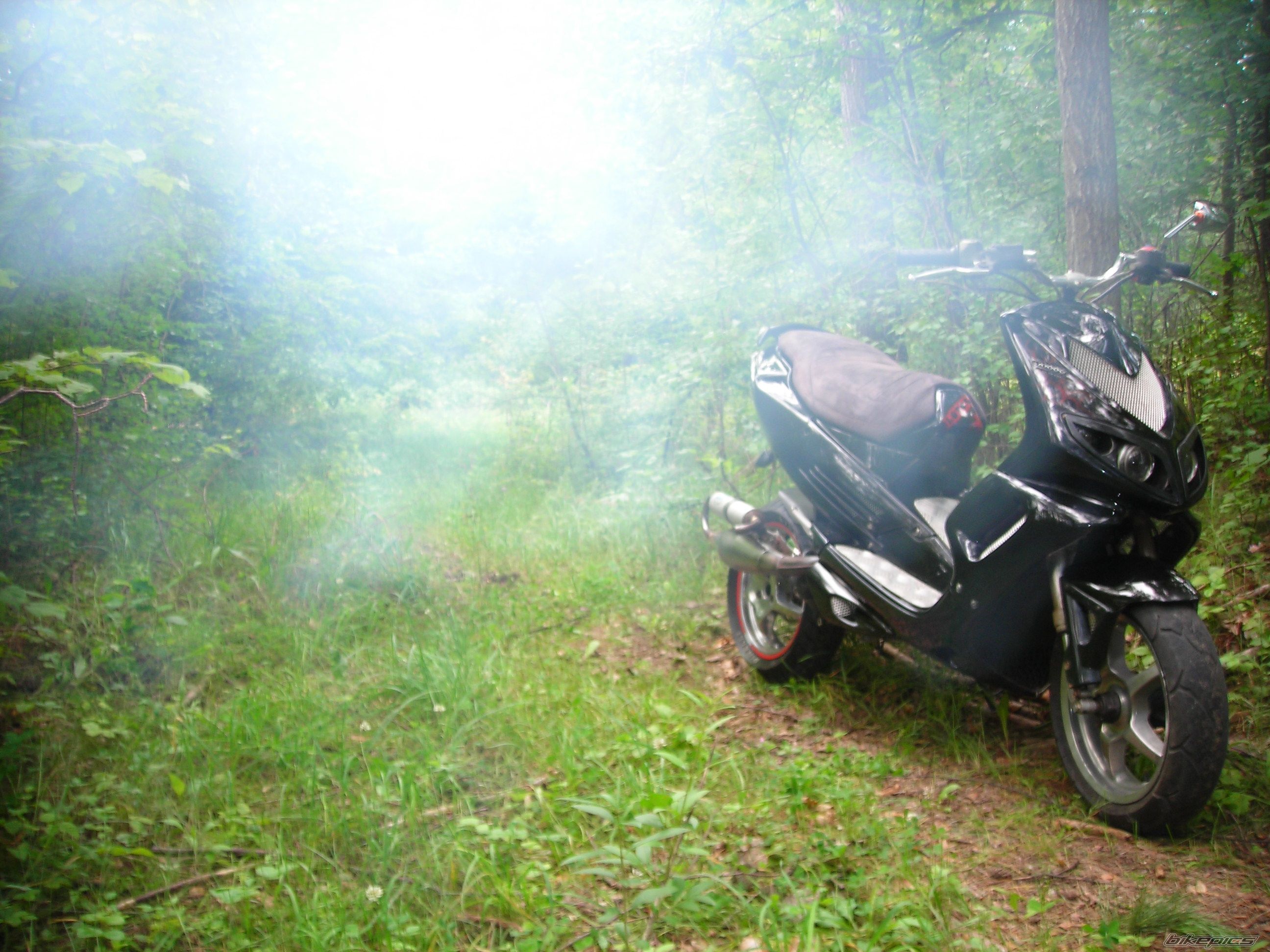 Photo 2431758