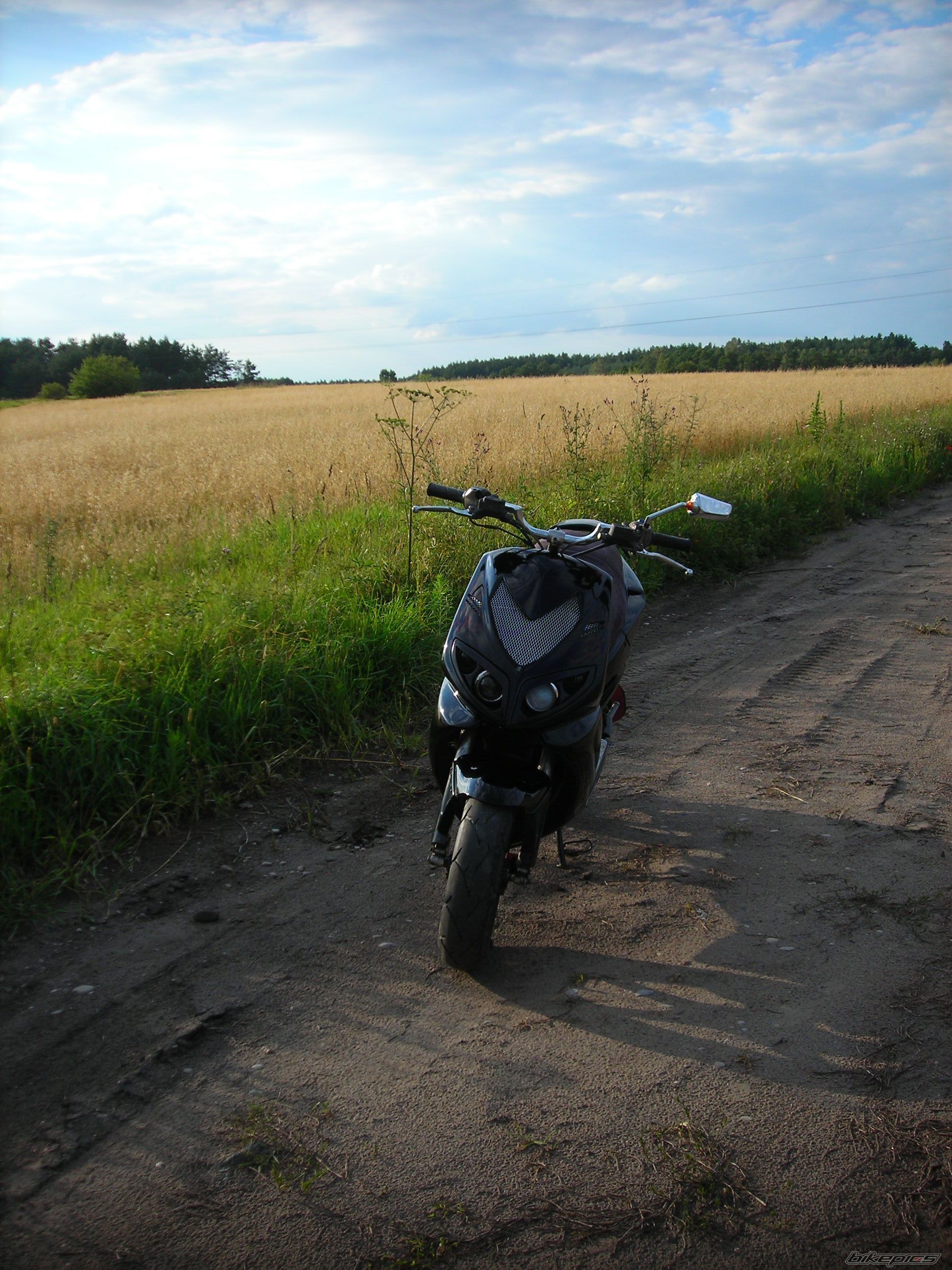 Photo 2431759