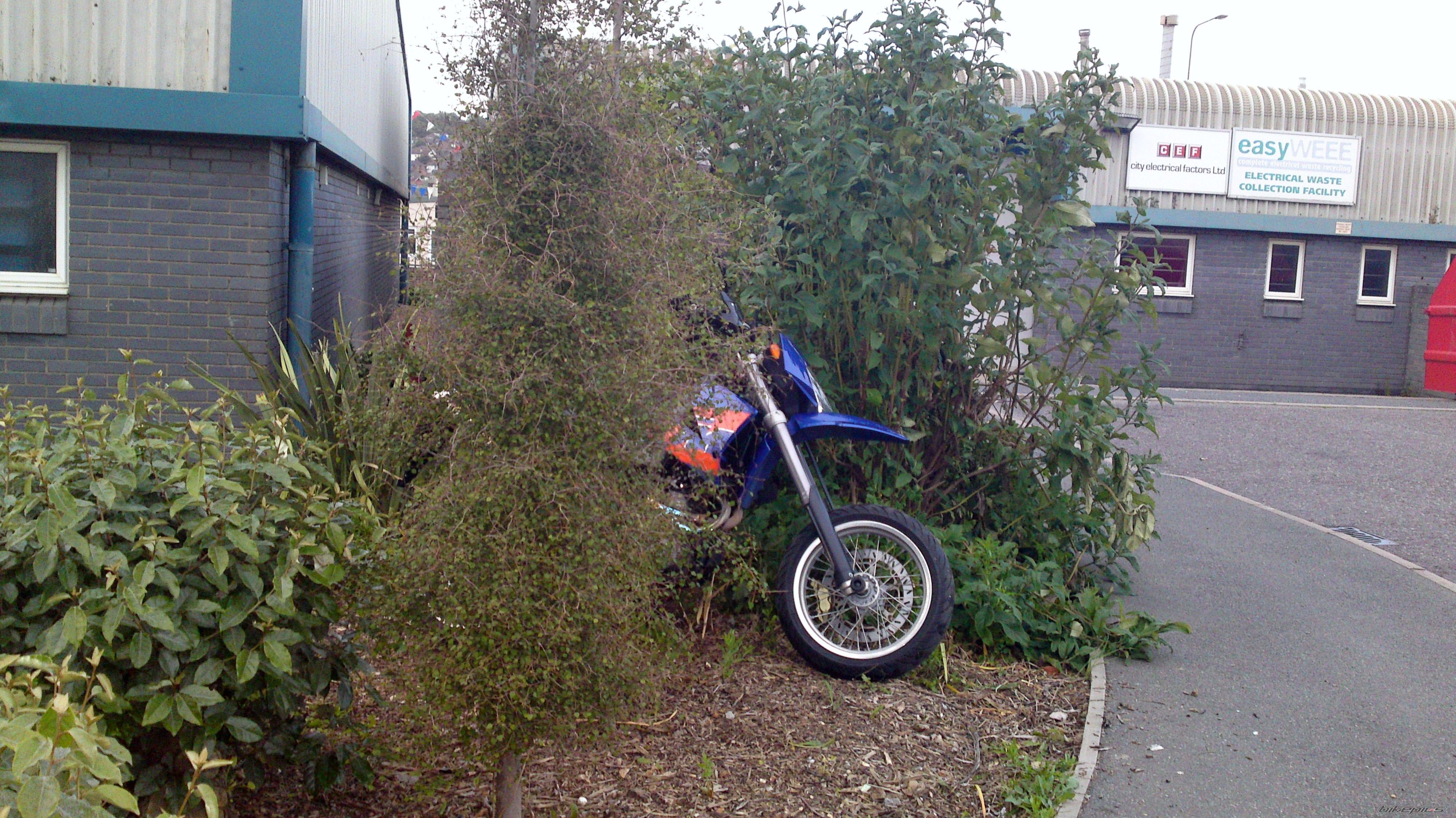 Photo 2431799