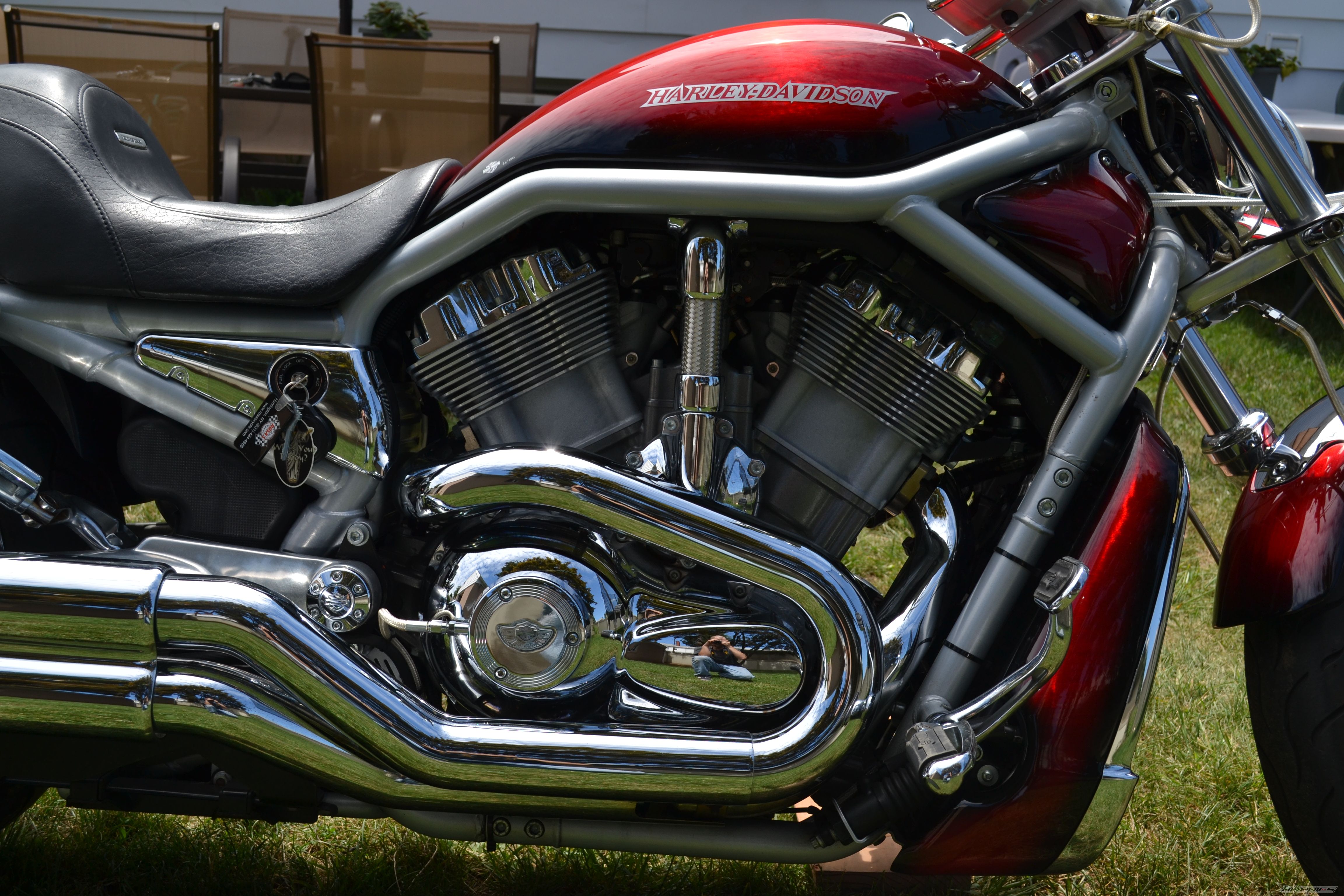 Photo 2431917