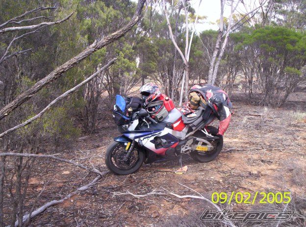 Bike Photo 2431938