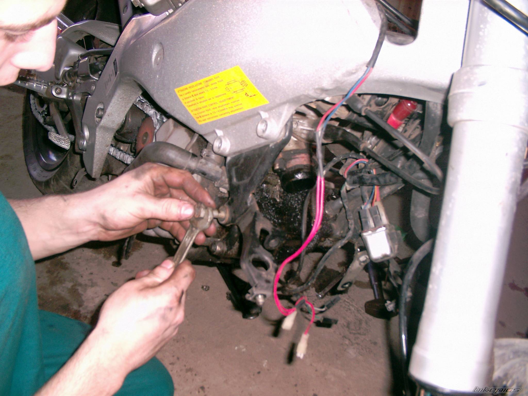 Photo 243203