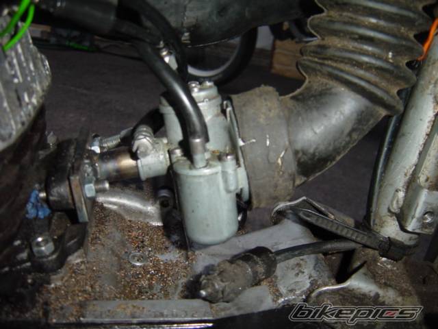 Photo 243207