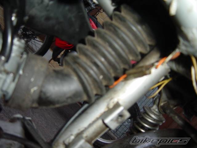 Photo 243208