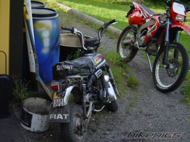 Photo 243209