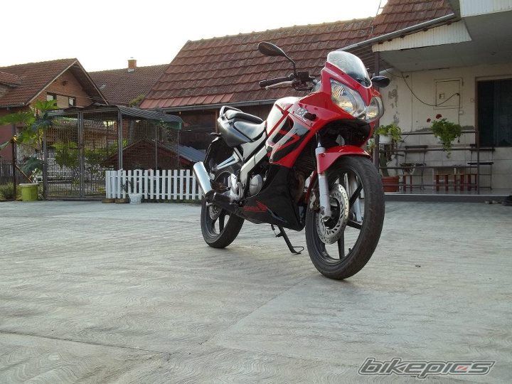 Photo 2432136
