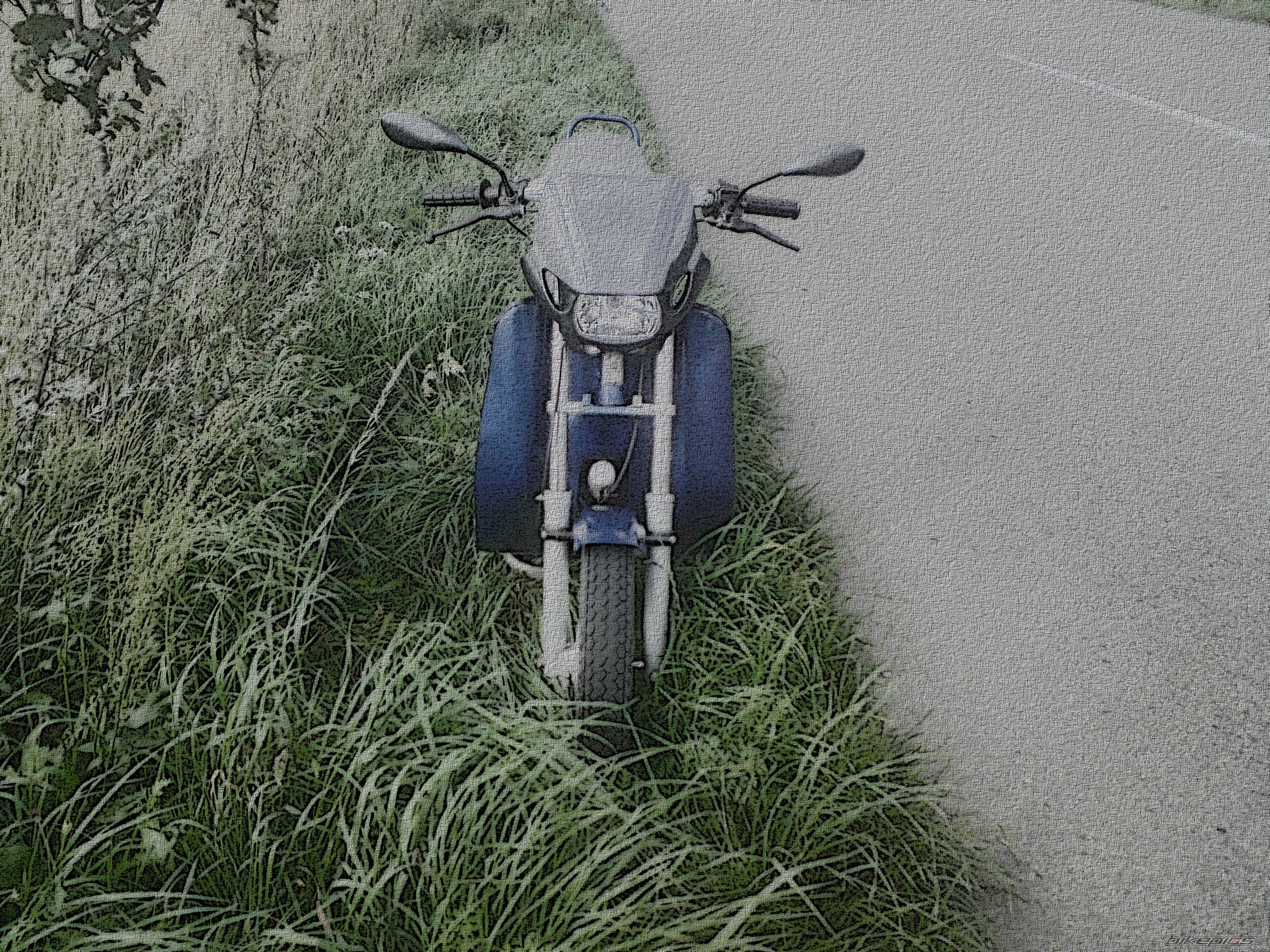 Photo 2432204