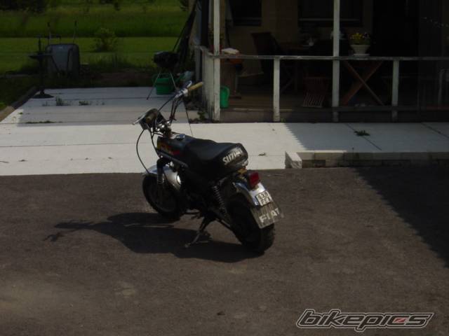 Photo 243222