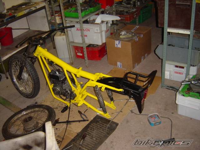 Photo 243226