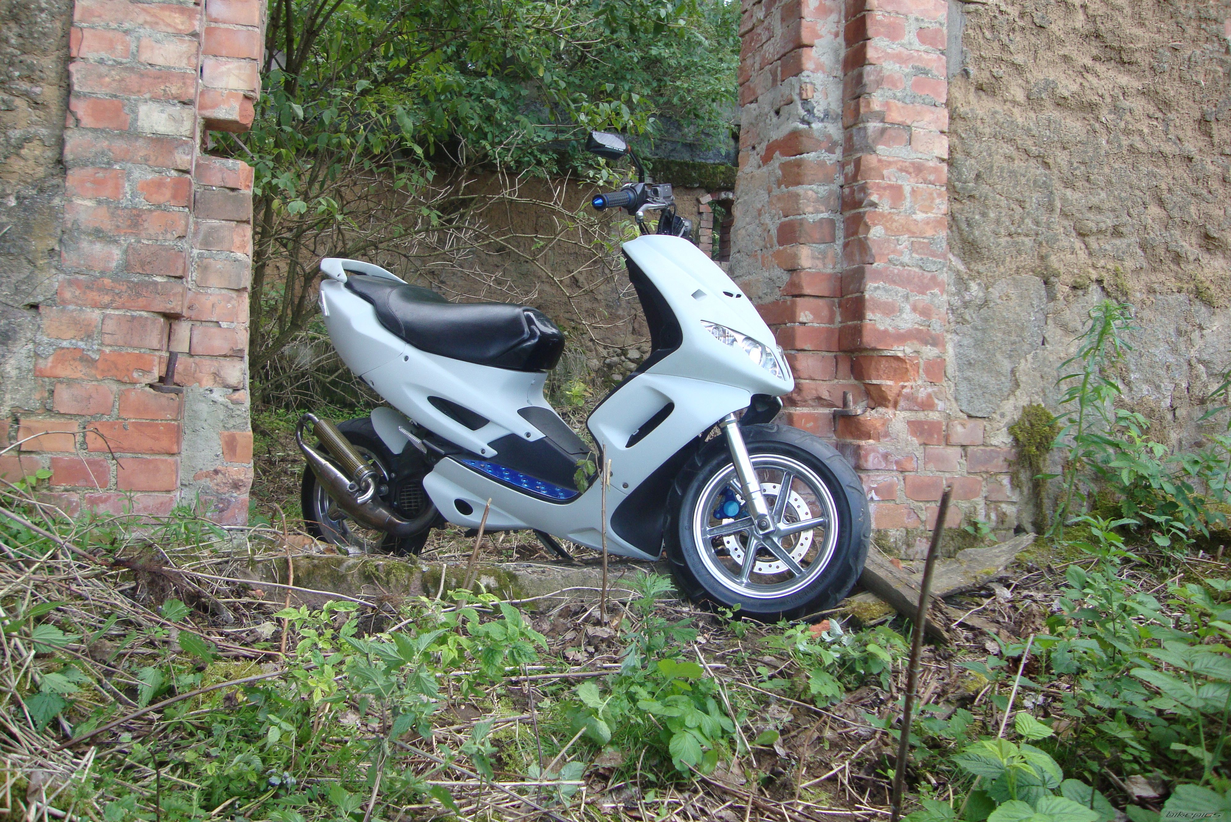 Photo 2432284