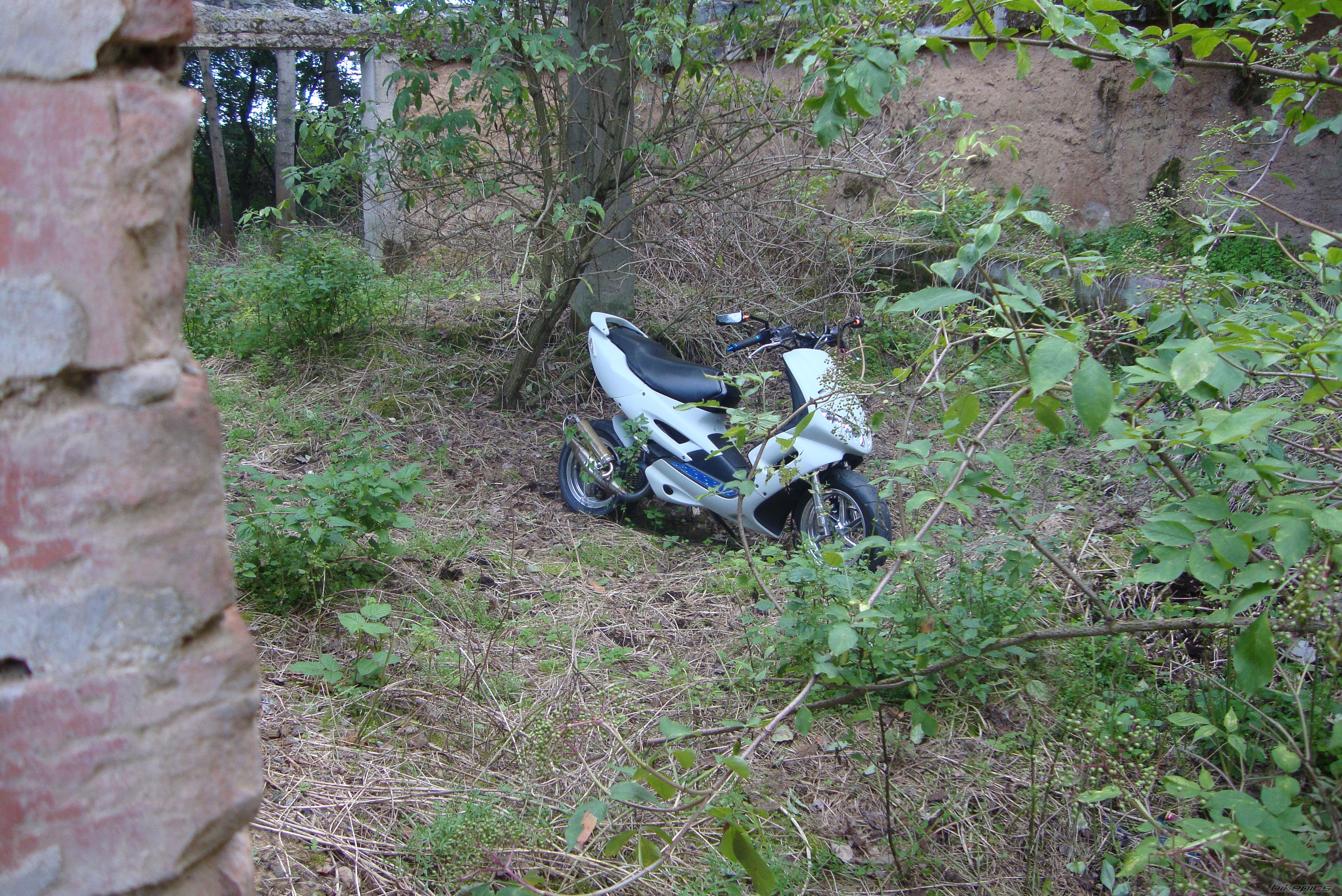Photo 2432294