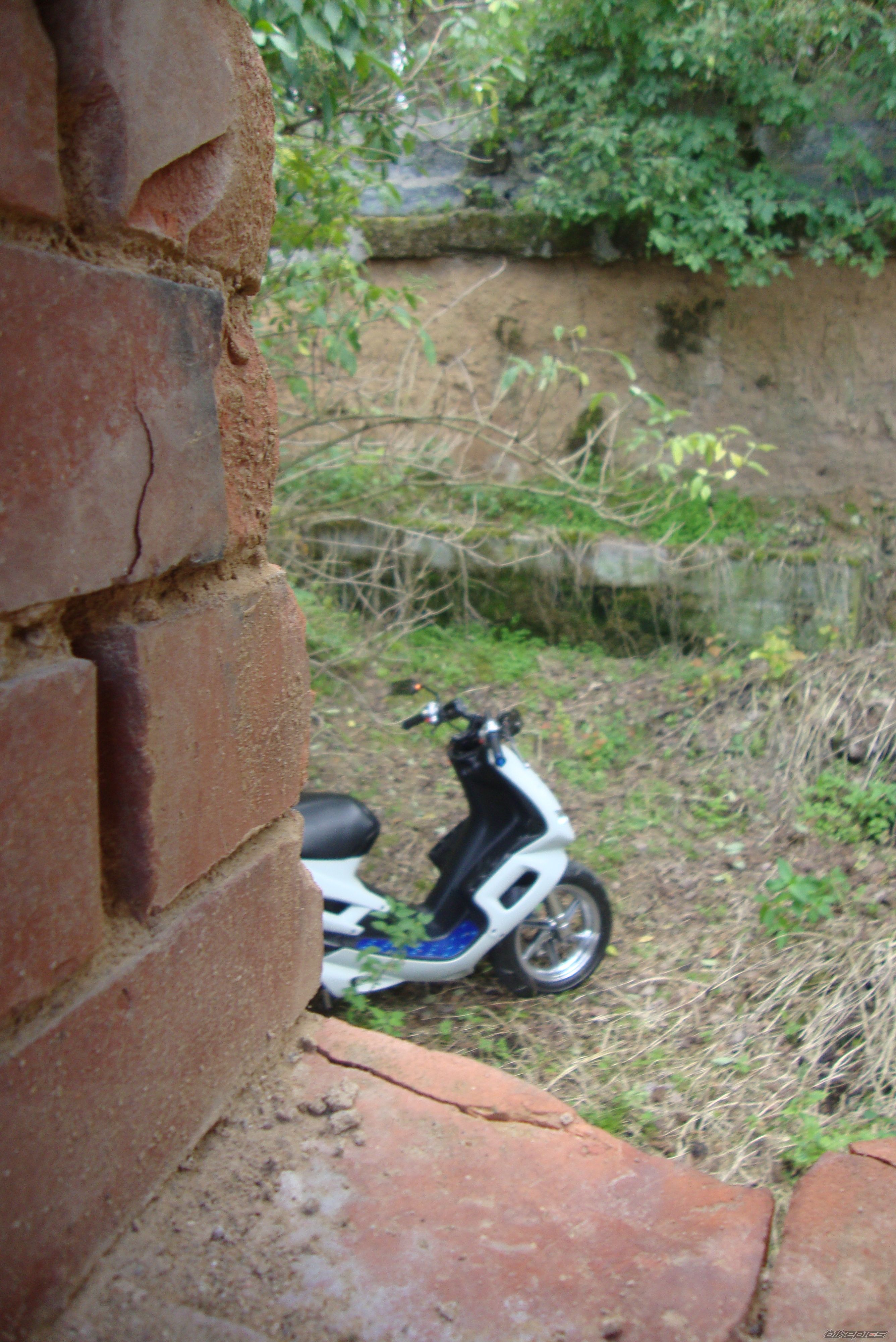 Photo 2432299