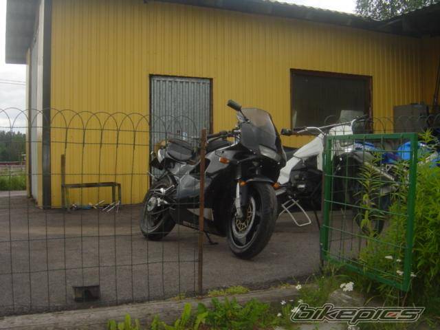 Photo 243230