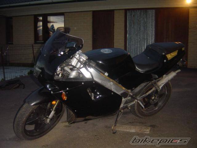 Photo 243231