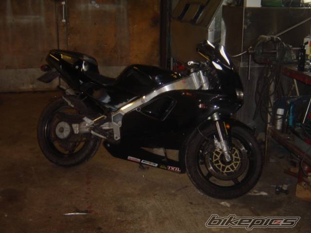 Photo 243233