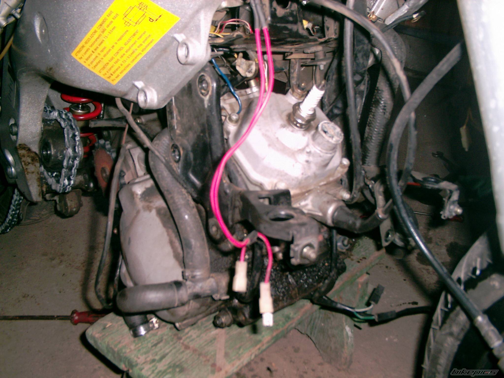 Photo 243239