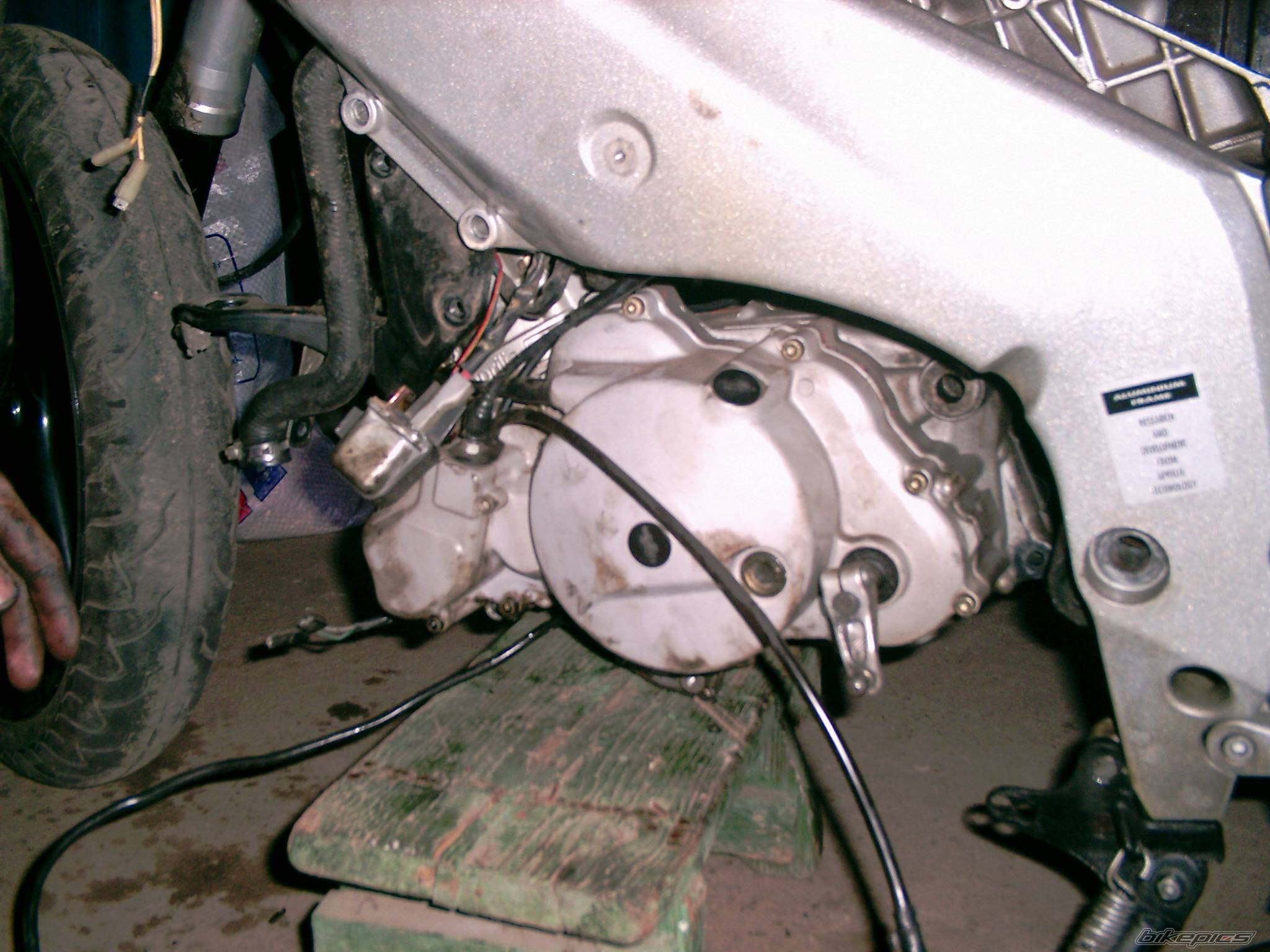 Photo 243240