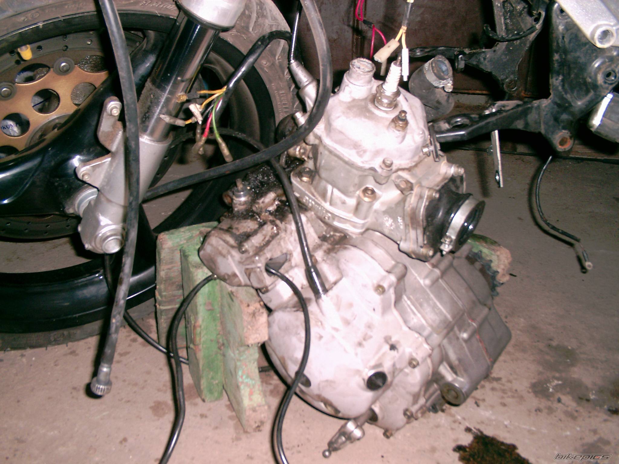 Photo 243243