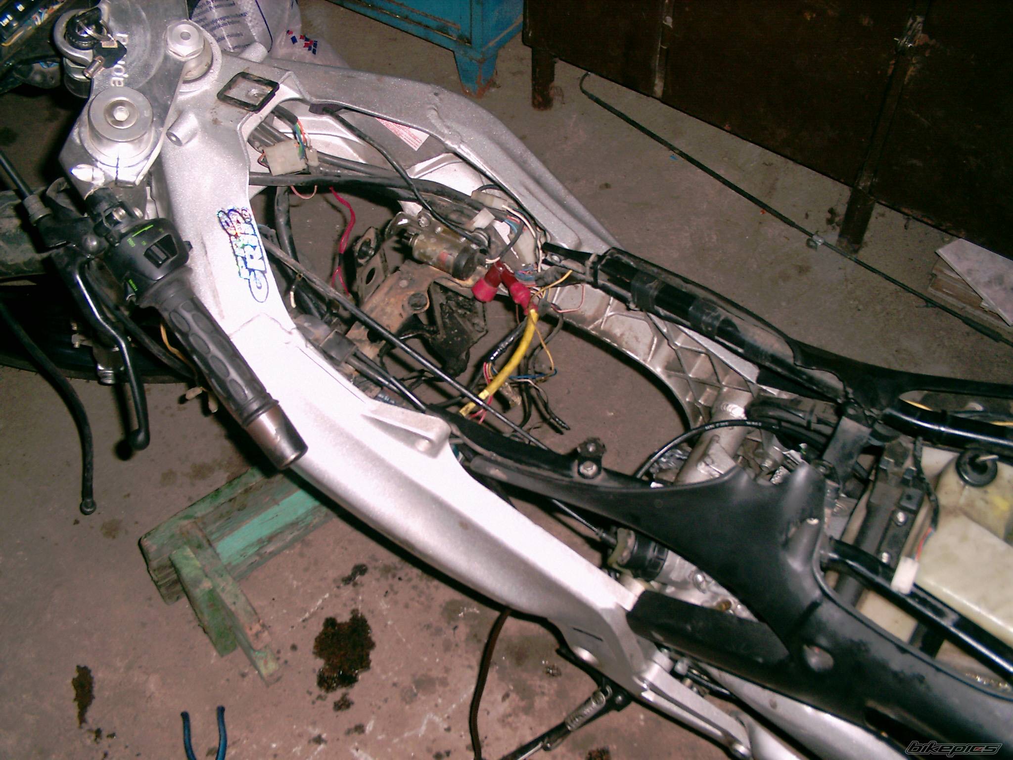 Photo 243248