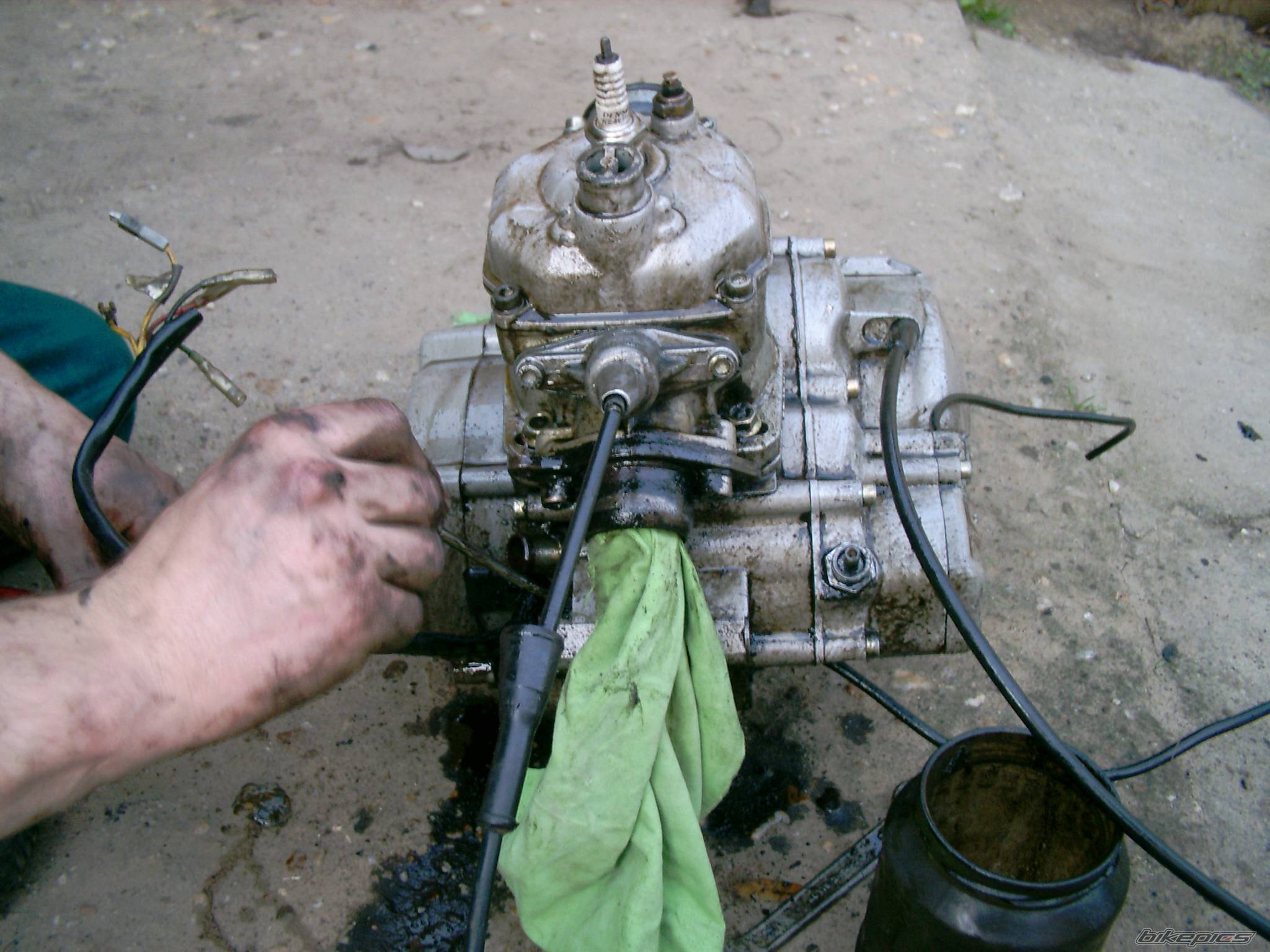 Photo 243256